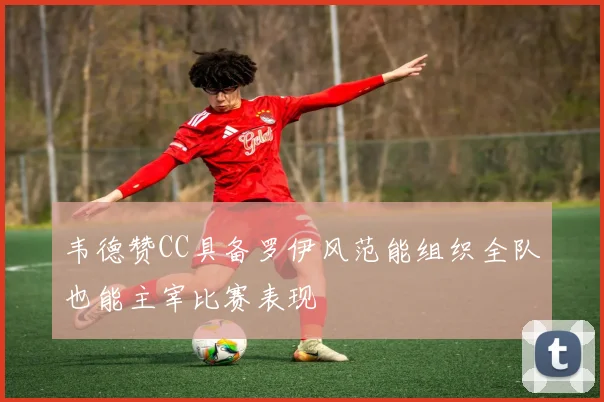 韦德赞CC具备罗伊风范能组织全队也能主宰比赛表现