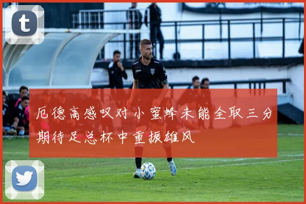 厄德高感叹对小蜜蜂未能全取三分期待足总杯中重振雄风