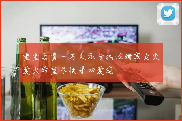 重金悬赏一万美元寻找拉姆塞走失爱犬希望尽快寻回爱宠